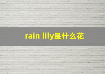 rain lily是什么花